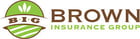 browninsurance-rgb-fullcolor-horizontal-600dpi-1